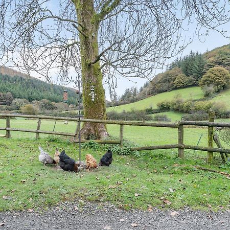 Pwll Farmhouse Llanllawdog Экстерьер фото