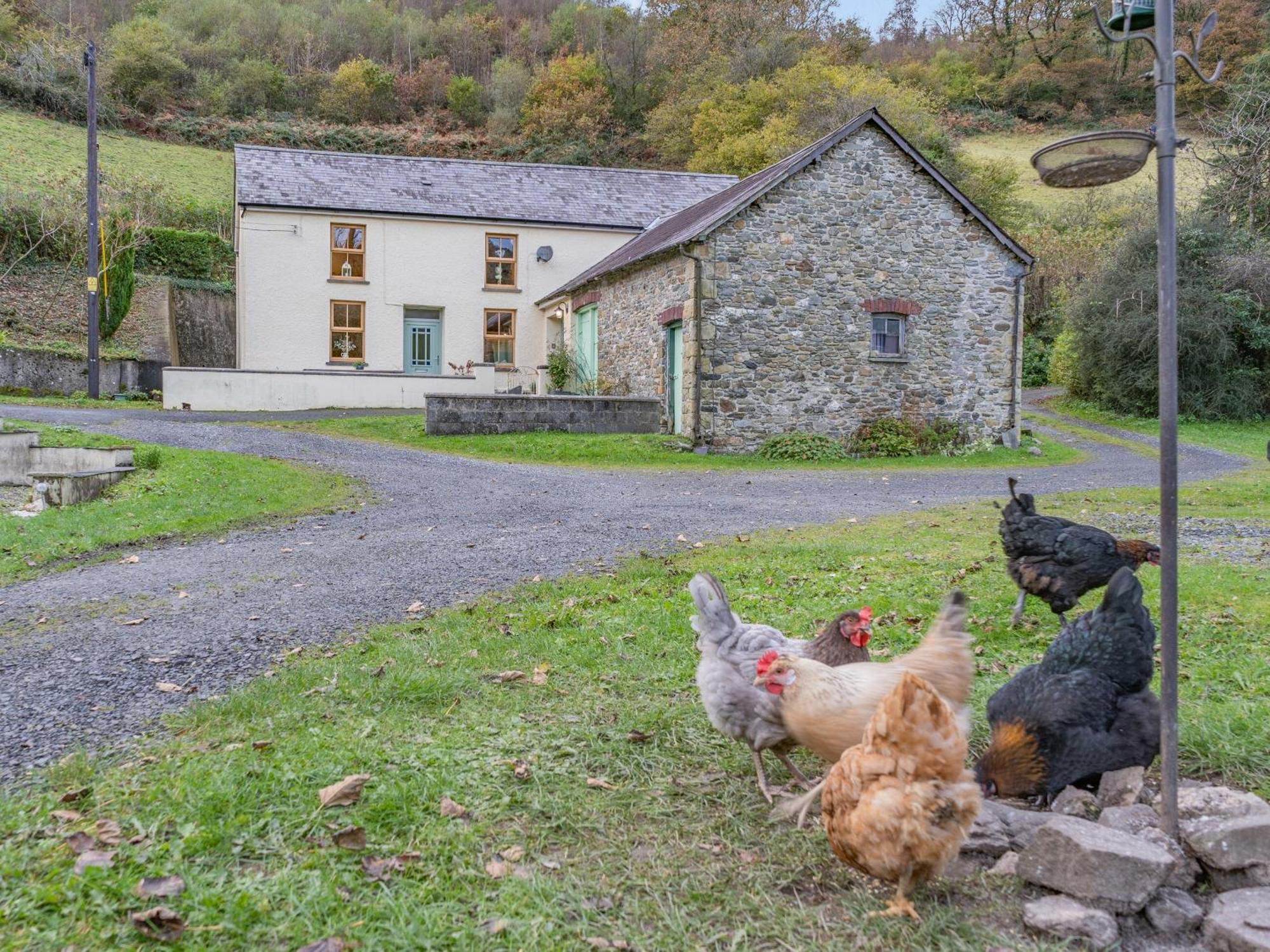 Pwll Farmhouse Llanllawdog Экстерьер фото