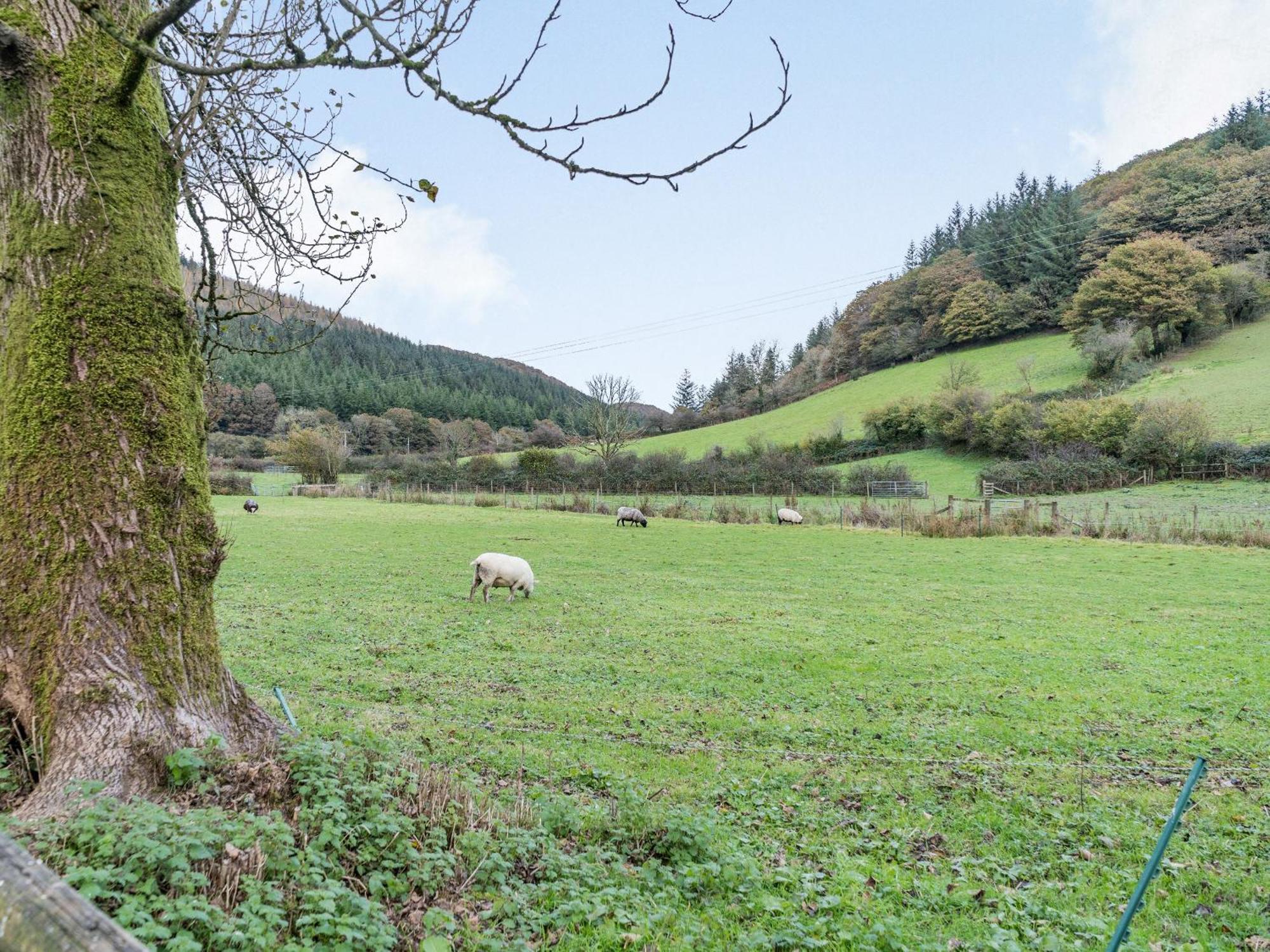 Pwll Farmhouse Llanllawdog Экстерьер фото